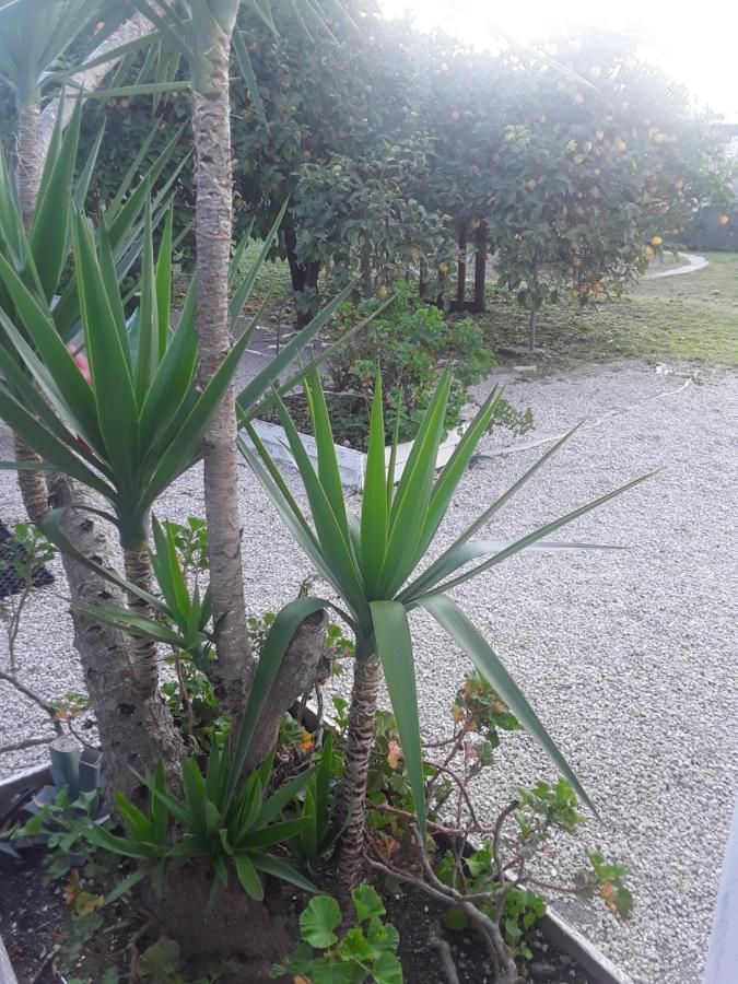 Garden Green Da Virna Торре-Аннунціата Екстер'єр фото