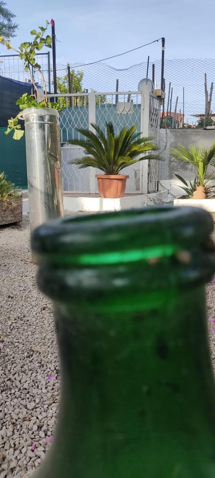Garden Green Da Virna Торре-Аннунціата Екстер'єр фото