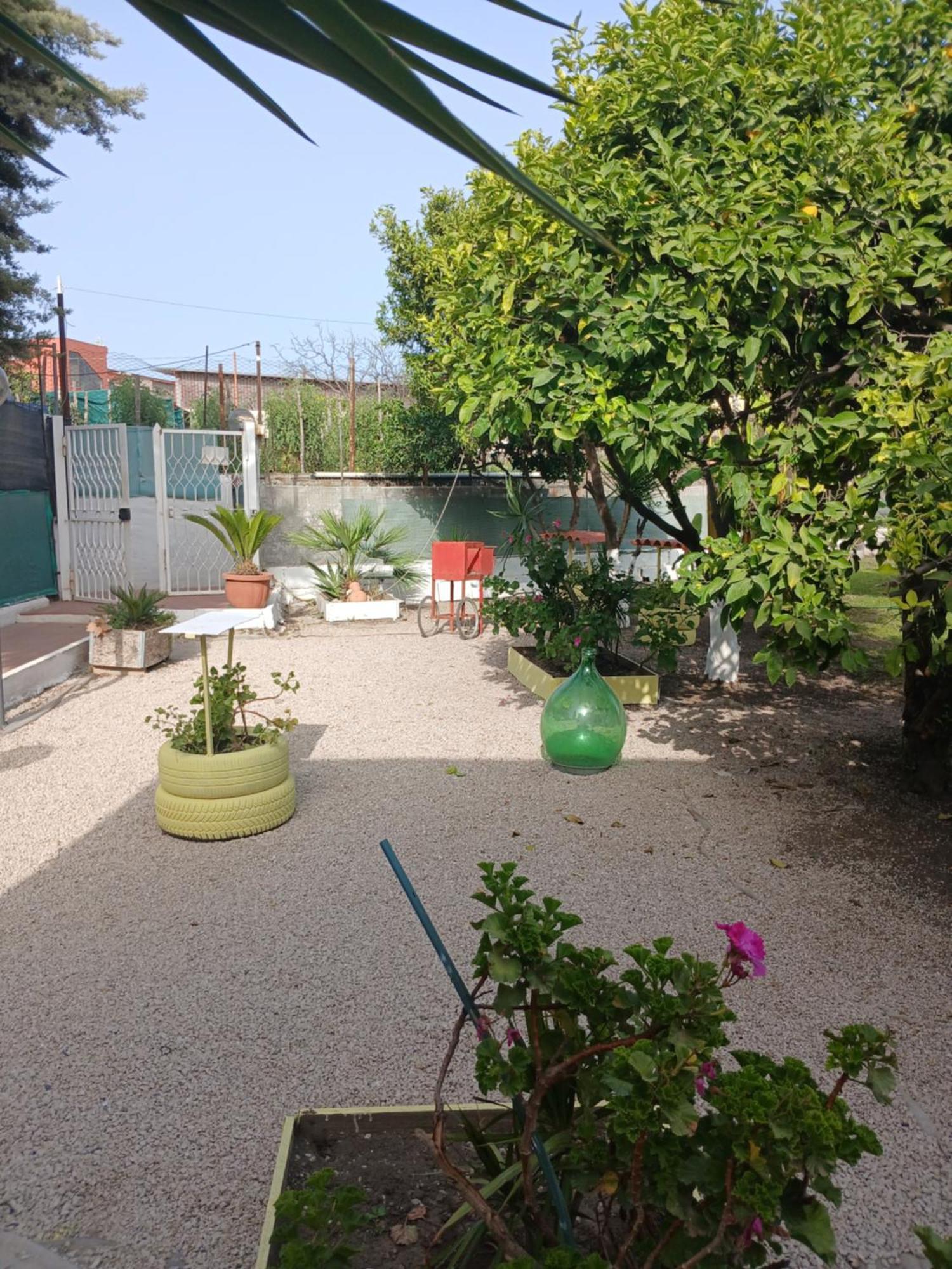 Garden Green Da Virna Торре-Аннунціата Екстер'єр фото